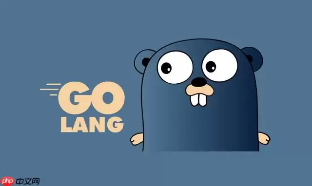 如何在Golang中设计具有默认参数的函数