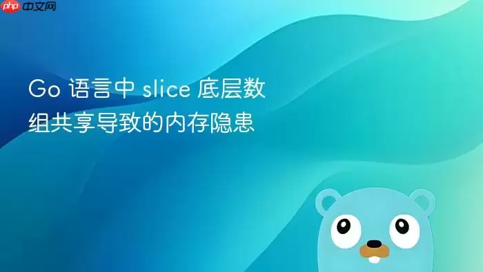 Go 语言中 slice 底层数组共享导致的内存隐患