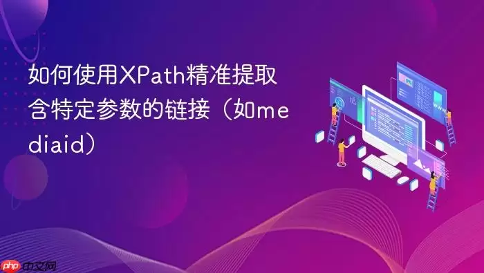 如何使用XPath精准提取含特定参数的链接(如mediaid)