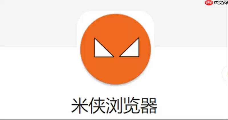 如何配置米侠浏览器的侧边栏以快速访问常用脚本？