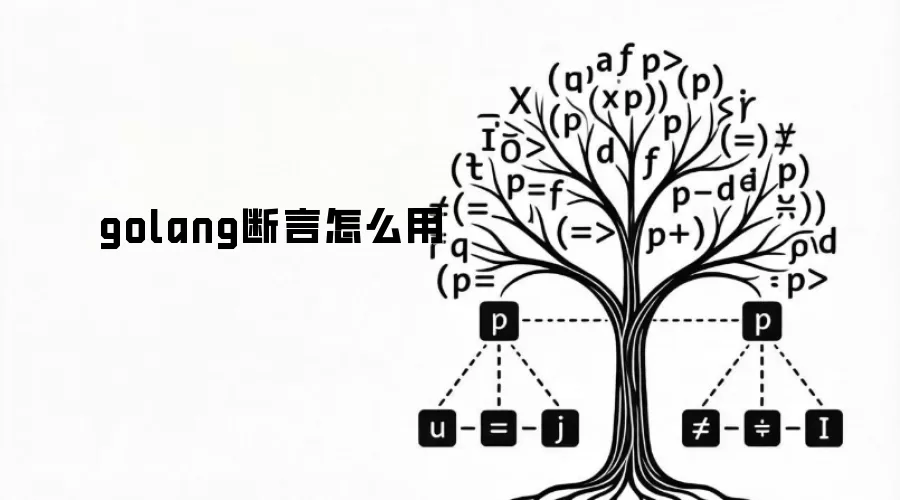 golang断言怎么用