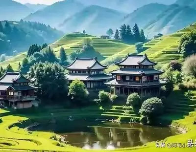 触动精灵验证码怎么通过-触动精灵打码平台接入详细流程