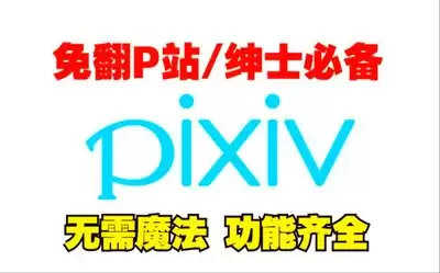 pixiv网站最新入口是什么-pixiv官网网页版地址在哪