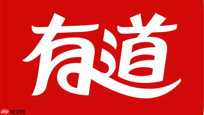 有道词典网页版在线翻译 有道词典中英互译在线入口