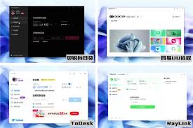 RayLink怎么设置会话水印-RayLink如何去设置会话水印