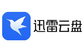 迅雷网盘官方网站首页是什么样-迅雷网盘官方网站首页详情