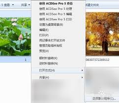 如何用ACDSee打开图像
