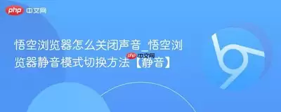 悟空浏览器静音模式下为何仍有广告声音-悟空浏览器在静音模式有广告声音的原因