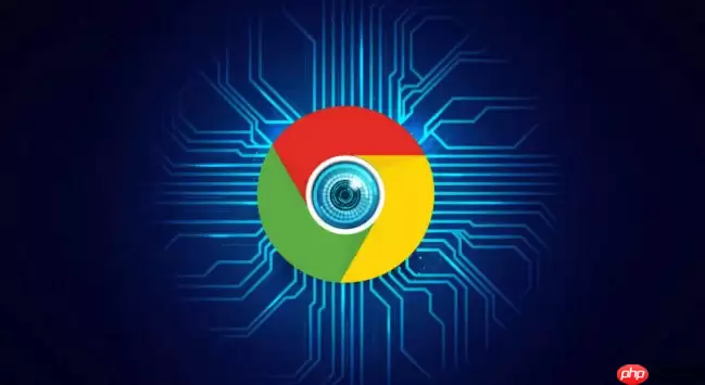 Google浏览器官方下载入口与官方地址