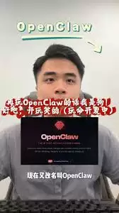 openclaw是谁开发的