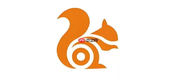 为什么UC浏览器无法识别某些网盘的下载地址？