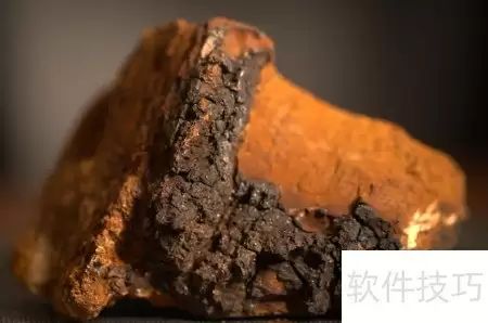 如何辨别正宗桦褐孔菌