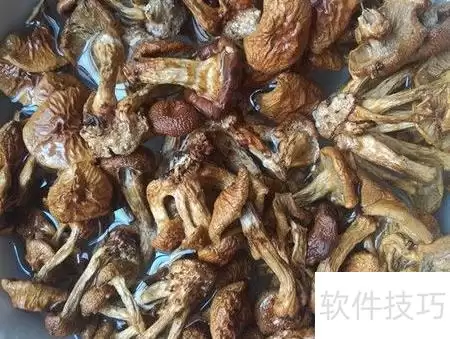 桦菇鸡丝家常做法