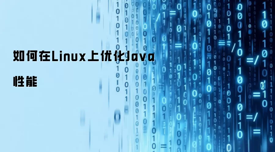 如何在Linux上优化Ja va性能