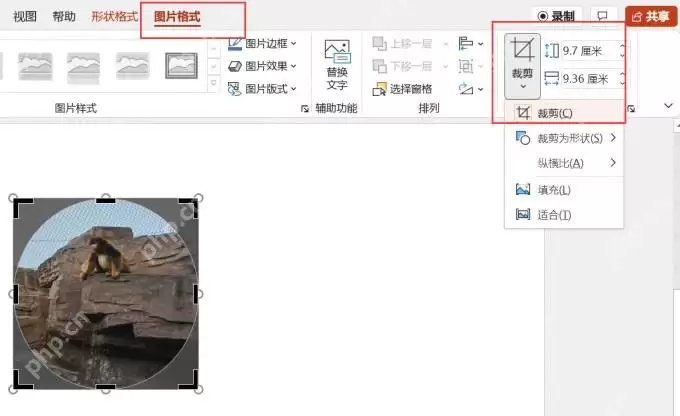 PPT中怎样使用四种裁剪方法处理图片形状