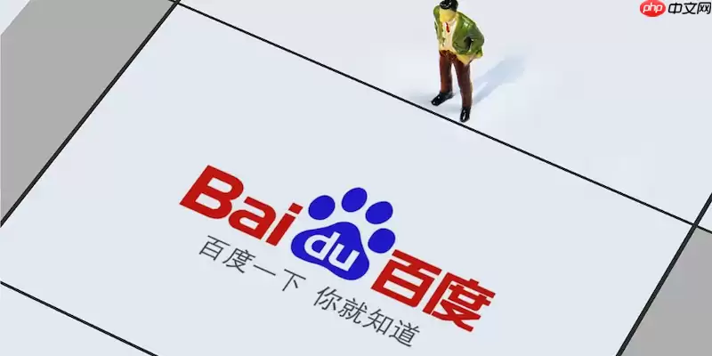 百度浏览器无法保存网站登录密码该如何检查隐私设置?