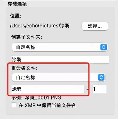 如何自定义Adobe Bridge工作区