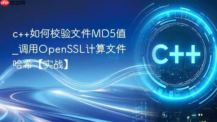 c++如何校验文件MD5值_调用OpenSSL计算文件哈希【实战】
