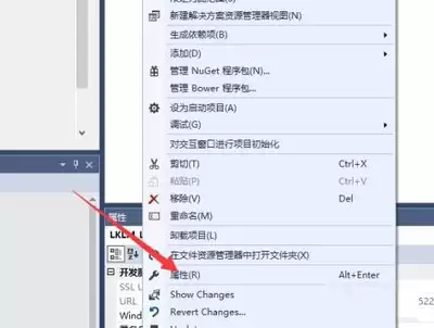 visual Studio Code如何切换大小