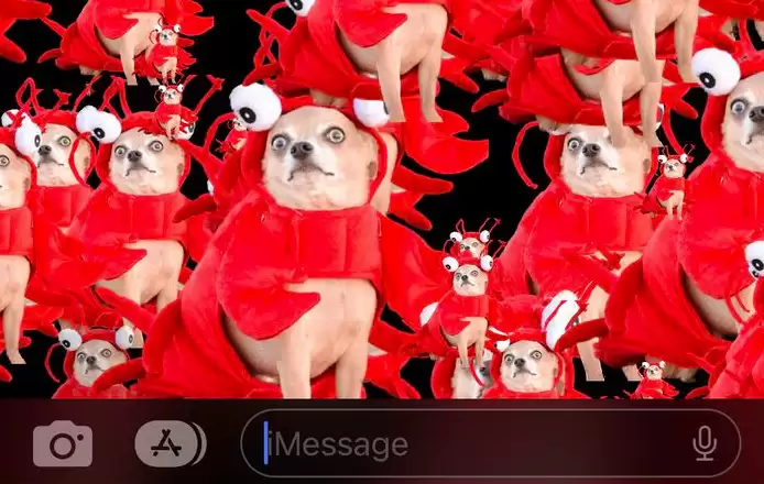 iOS 16 小技巧:使用抠图功能和 iMessage 特效分享趣味图片