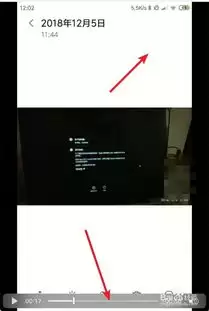 白描手机版如何快速提取图片中文字