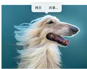 iPhone14 如何抠出有趣的图片并用 iMessage 分享给好友?