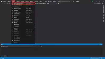 visual studio如何用query过滤筛选