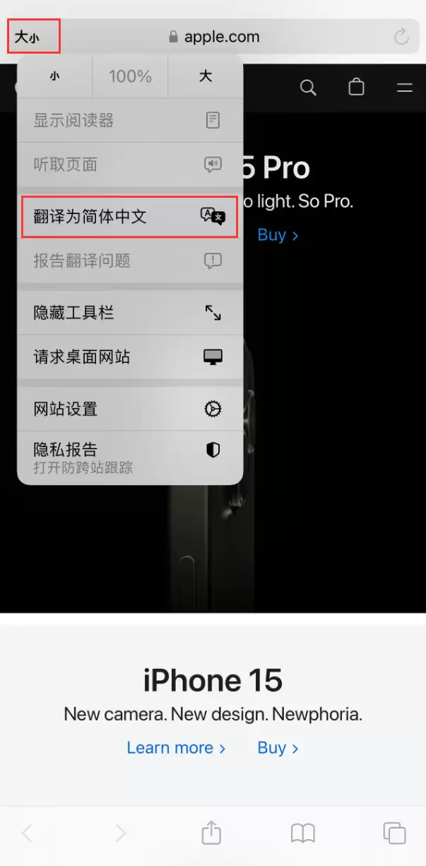 在 iPhone 上使用 Safari 浏览器翻译网页:可设置多种翻译语言