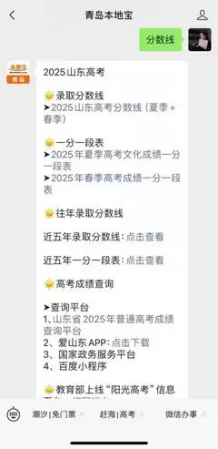 2026年春季高考如何进行录取查询