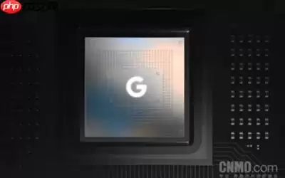 表现太差!超七成受访者认为谷歌应放弃Tensor心片