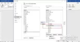 Word如何添加开发工具选项卡
