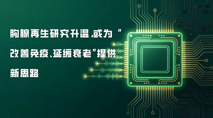 胸腺再生研究升温，或为“改善免疫、延缓衰老”提供新思路