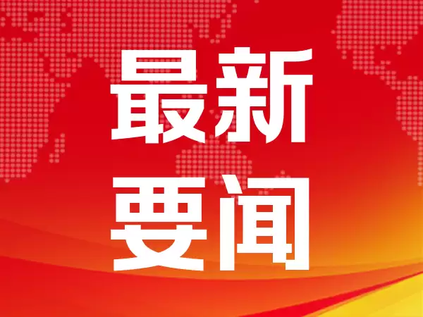 跌入熊市后暴力反弹，芯片股“盛宴”能否继续？