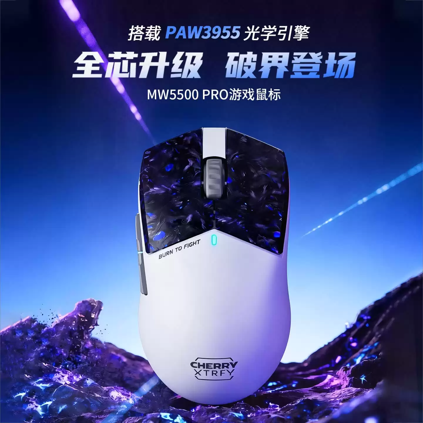 469 元樱桃 XTRFY MW5500 PRO 8K 无线鼠标开售：PAW3955，62g 轻量化设计