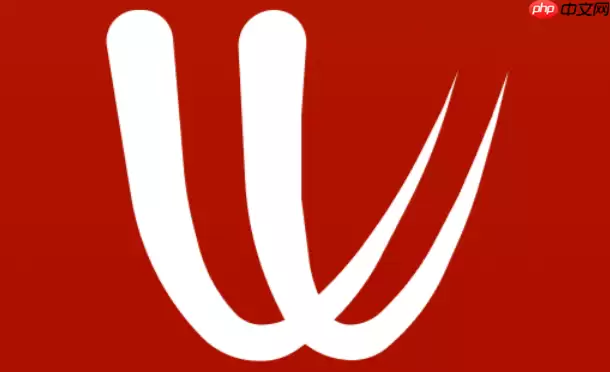Windy怎么查看未来天气？时间轴使用技巧
