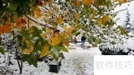 雪后初晴，阳光洒落的美景