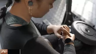 Fitbit AI健康教练登陆 iOS 抢佔果粉市场!助分析健康数据