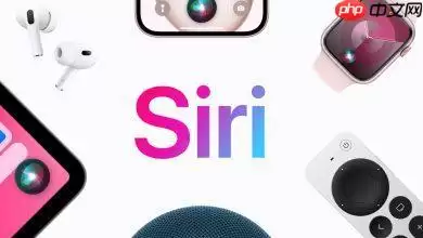 隐私神话破灭?Alphabet高层暗示Gemini版Siri将在Google伺服器执行