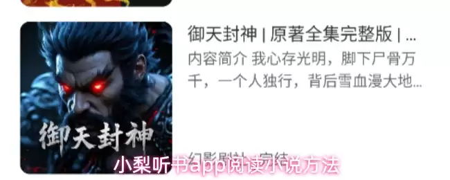 小梨听书app怎么阅读小说-阅读小说方法
