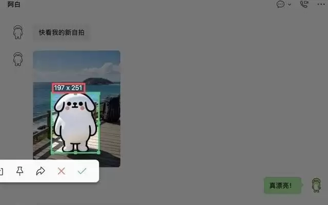 电脑端微信截图已支持“一键打码”,自动识别头像、名字、电话号码等隐私信息