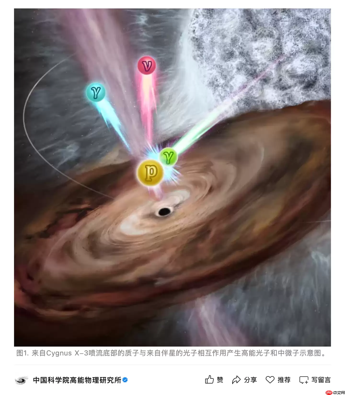 大发现！我国