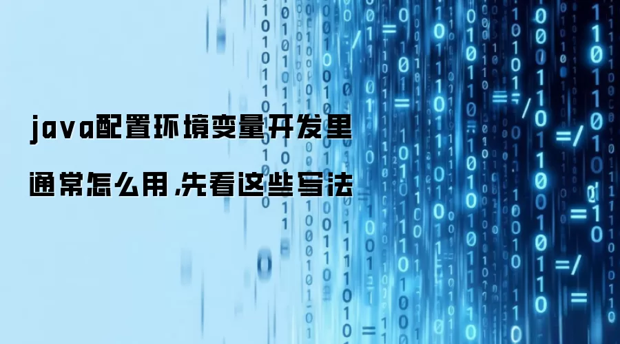 ja va配置环境变量开发里通常怎么用，先看这些写法