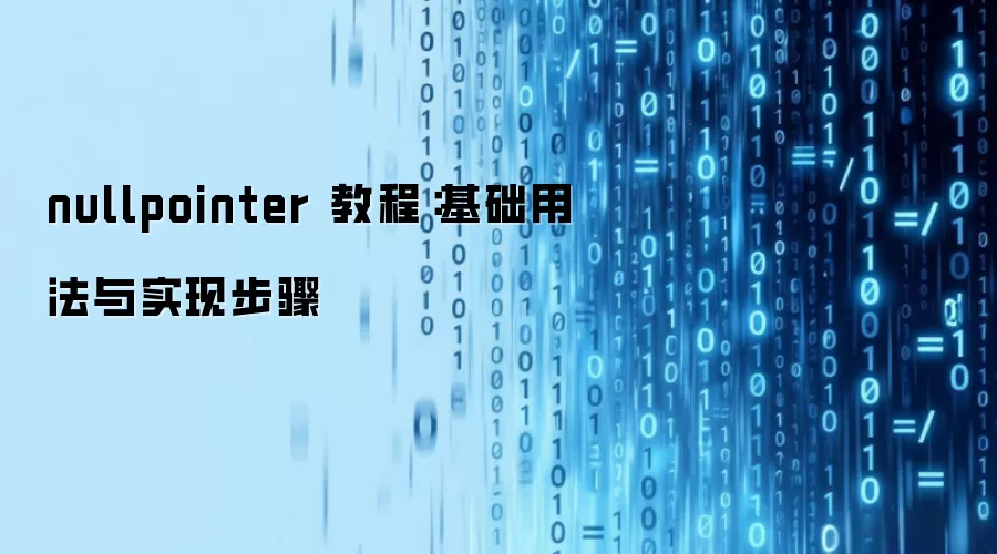 nullpointer 教程：基础用法与实现步骤