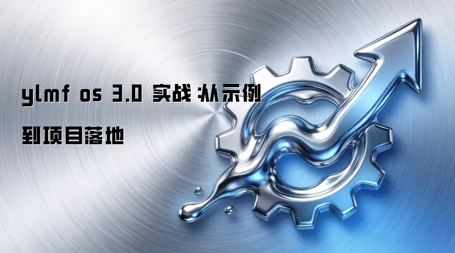ylmf os 3.0 实战：从示例到项目落地