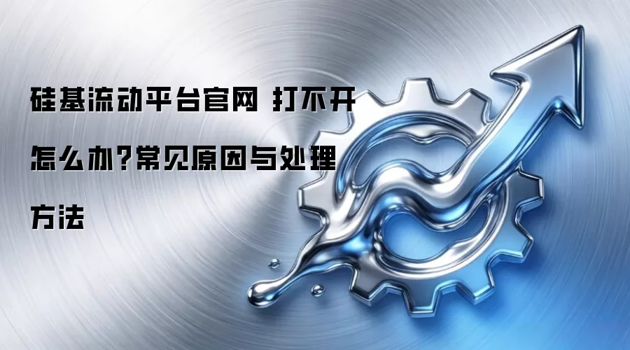 硅基流动平台官网 打不开怎么办?常见原因与处理方法