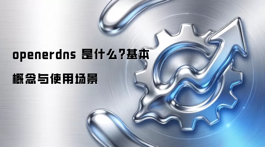 openerdns 是什么？基本概念与使用场景