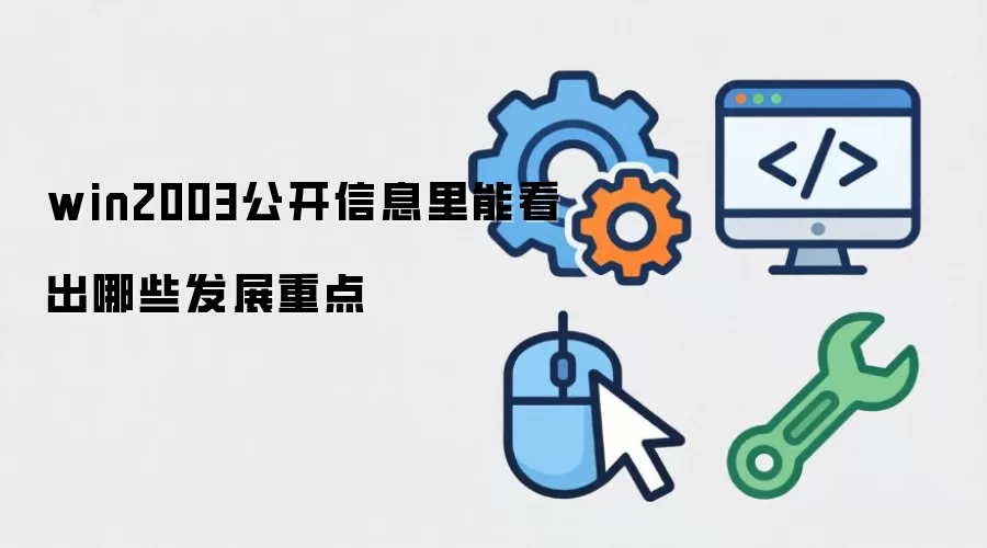 win2003公开信息里能看出哪些发展重点