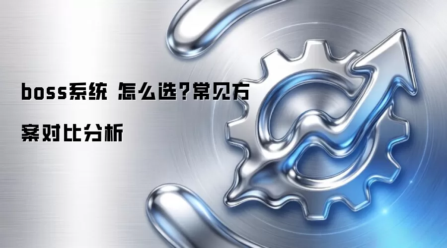 boss系统 怎么选？常见方案对比分析