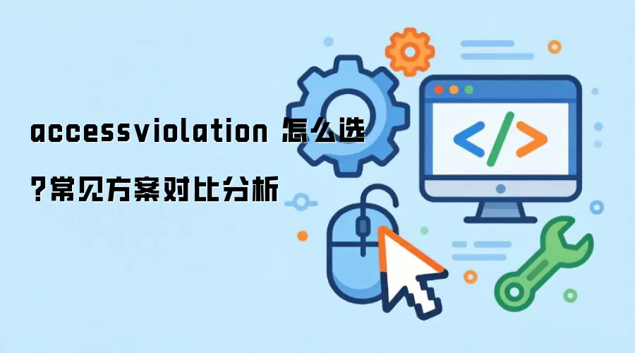accessviolation 怎么选？常见方案对比分析