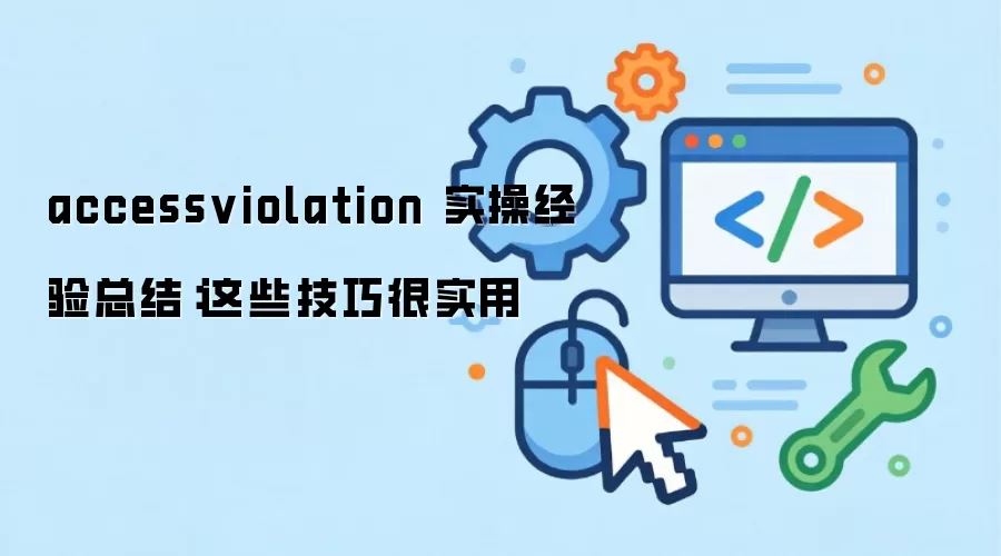 accessviolation 实操经验总结：这些技巧很实用